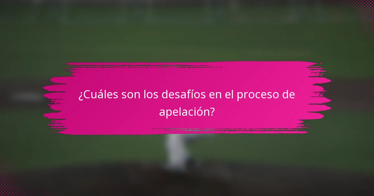 ¿Cuáles son los desafíos en el proceso de apelación?