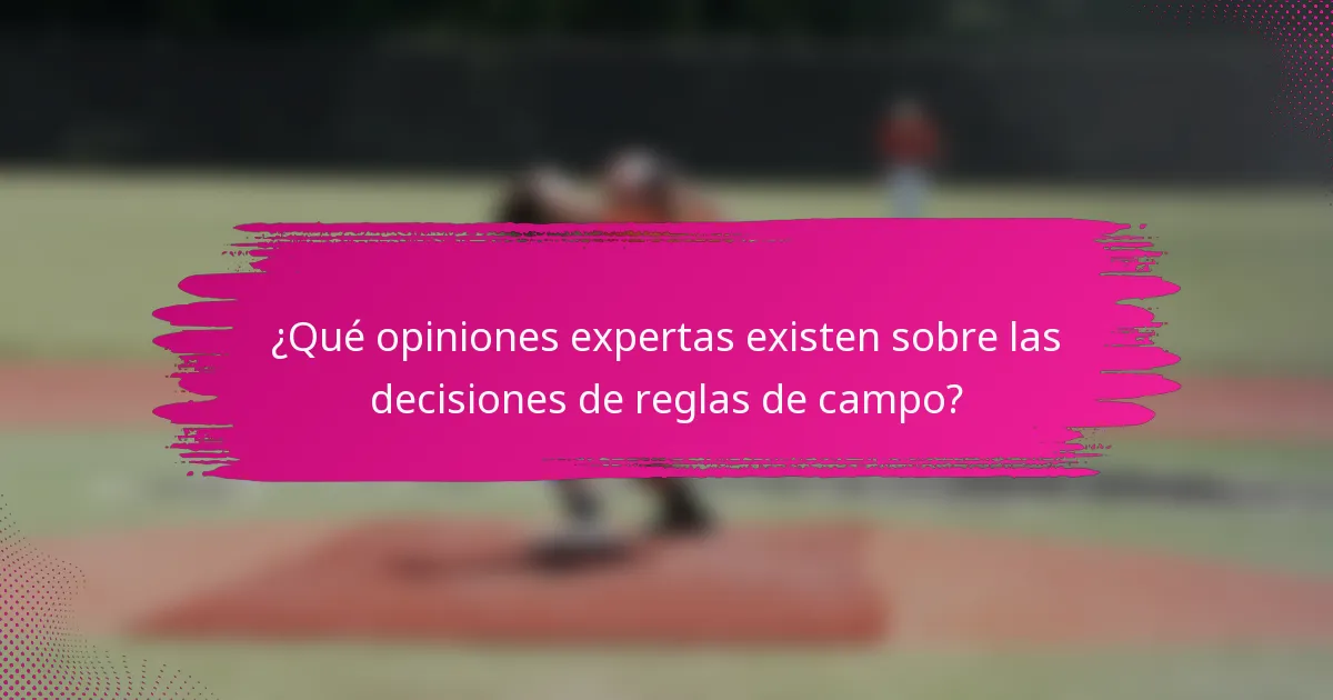 ¿Qué opiniones expertas existen sobre las decisiones de reglas de campo?